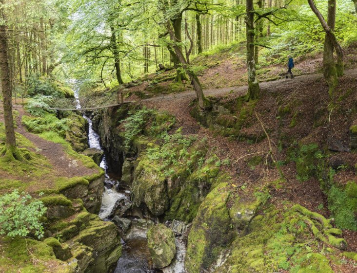 Hafod Estate, United Kingdom